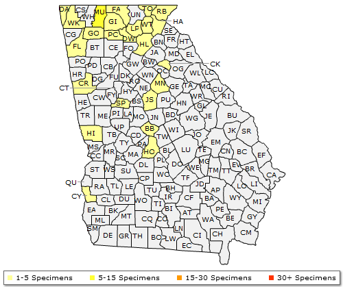 The range of Quercus coccinea